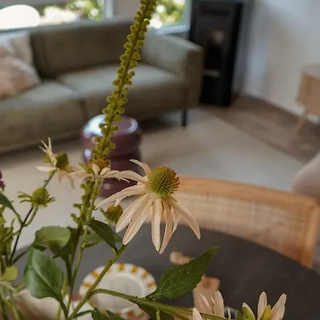 Boshuisje Met Kachel 