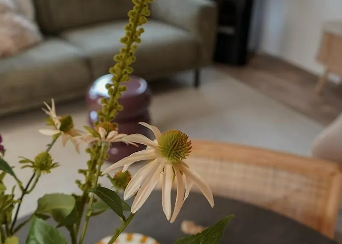 Boshuisje Met Kachel 