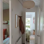 Boshuisje Met Kachel 