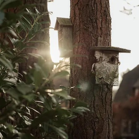 펜션 Boshuisje Met Kachel 