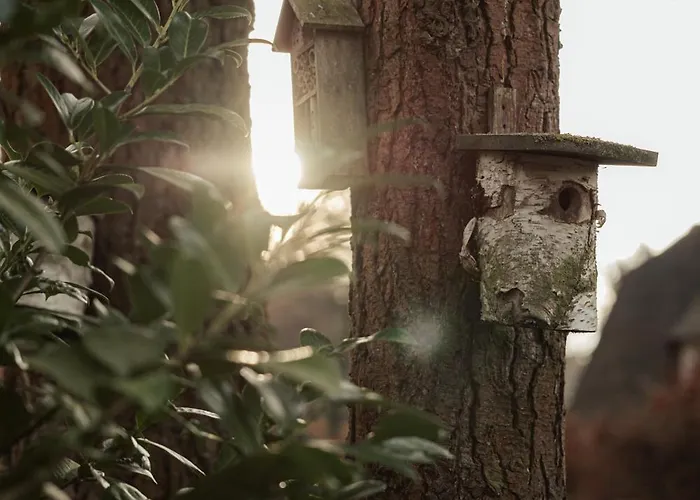 펜션 Boshuisje Met Kachel 